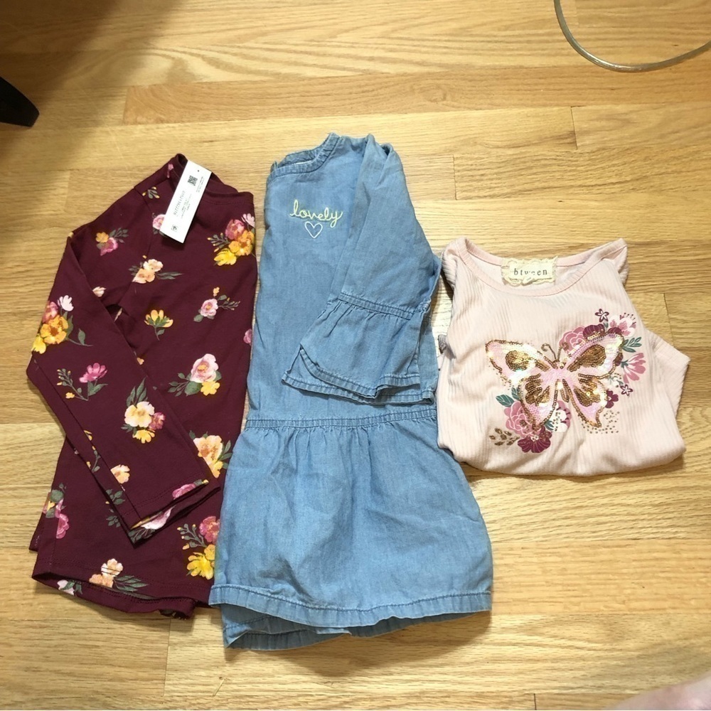 4T Top Bundle Chambray Carter’s Pink Floral Long Sleeve Butterfly Sequin